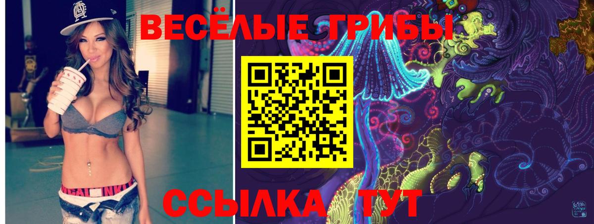 Саянск  Галлюциногенные грибы Magic Shrooms  Вход с VPN 