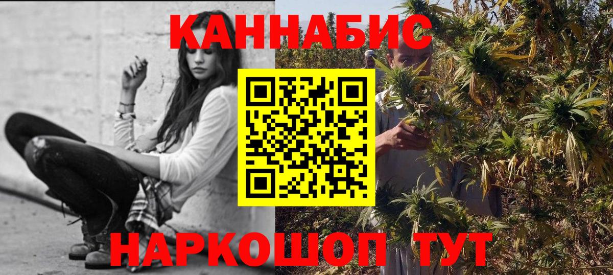 Бошки Шишки White Widow  Конопля White Widow  Марихуана план  Вход с VPN  Саянск 